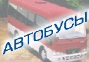 avtobuss6
